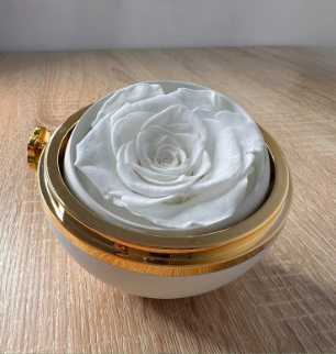 صندوق ورد دائري على شكل خاتم