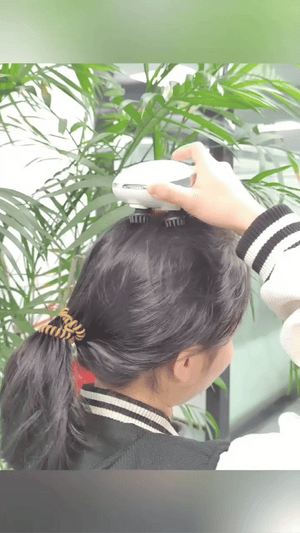 Functional Head Massager